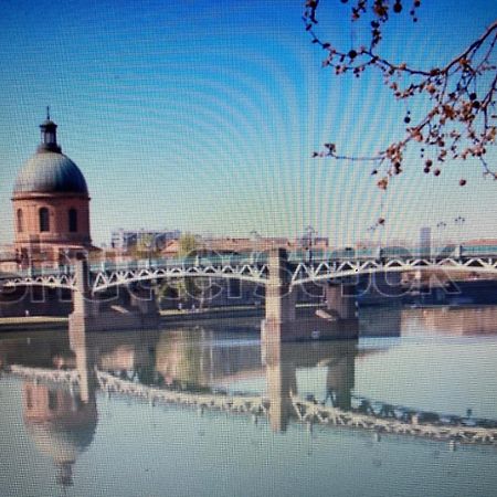 Le Saint Cyp - Toulouse - Appart Entier Cosy Et Au Calme, Proche Du Metro Ngoại thất bức ảnh