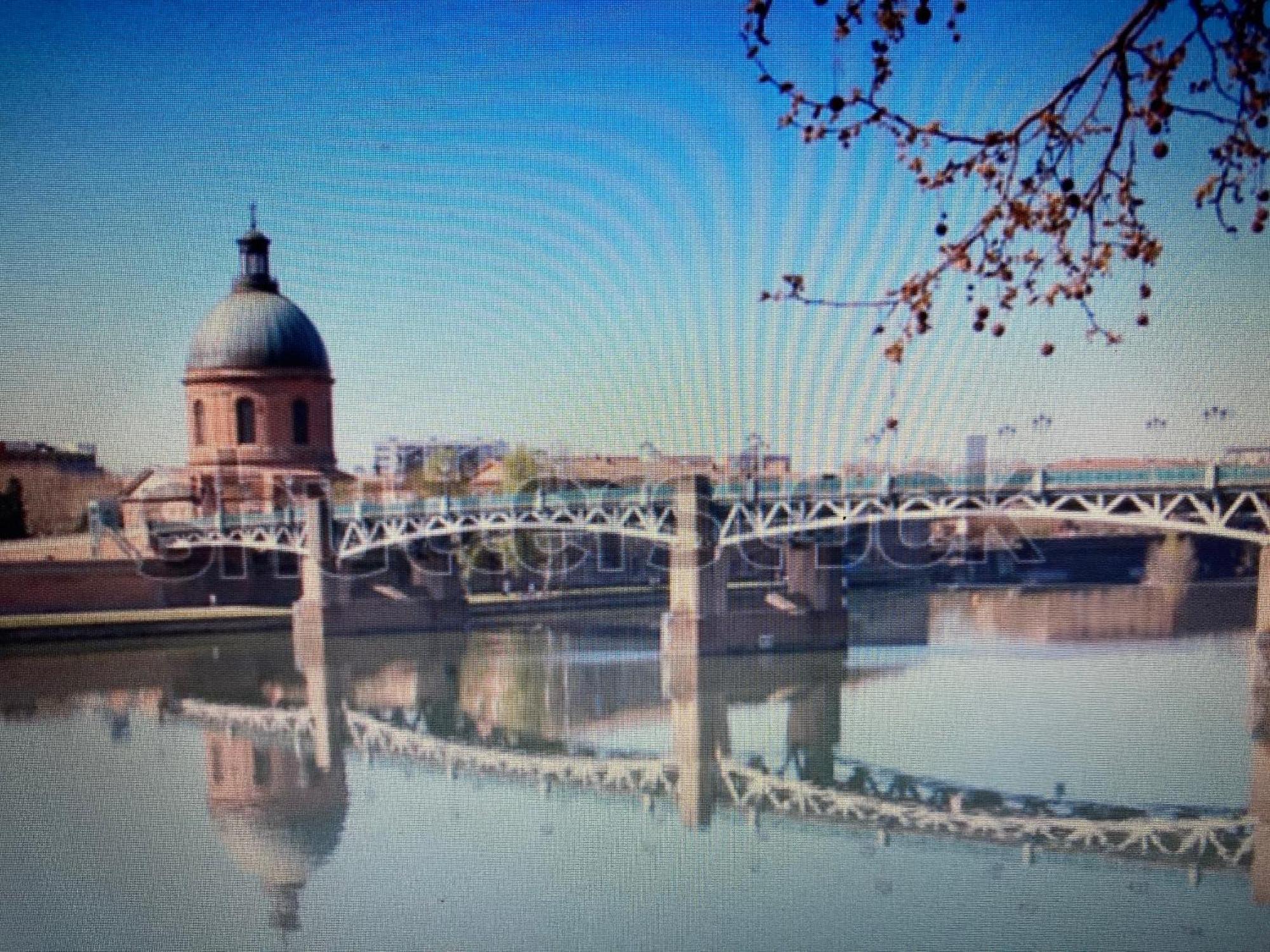 Le Saint Cyp - Toulouse - Appart Entier Cosy Et Au Calme, Proche Du Metro Ngoại thất bức ảnh
